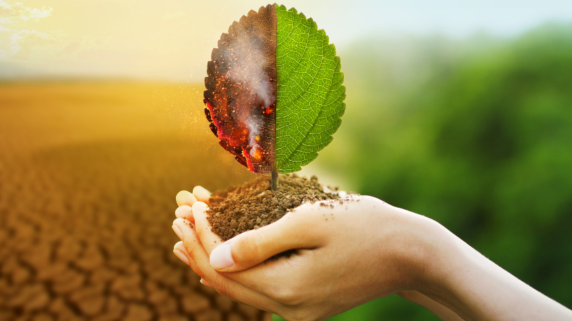 Com foco em resultados sustentáveis, a Versa Engenharia Ambiental Ltda conecta os impactos das mudanças climáticas às práticas ESG que protegem o meio ambiente e impulsionam valor econômico.