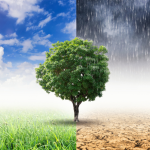 Mudanças climáticas e estratégias ESG: a Versa Engenharia Ambiental Ltda demonstra como mitigar impactos ambientais enquanto fortalece a competitividade das organizações.