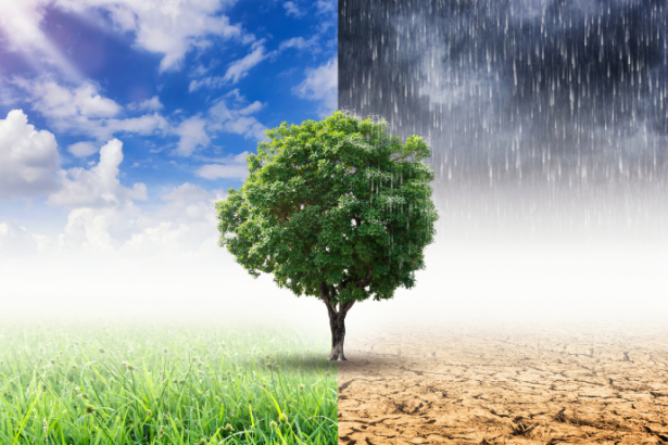 Mudanças climáticas e estratégias ESG: a Versa Engenharia Ambiental Ltda demonstra como mitigar impactos ambientais enquanto fortalece a competitividade das organizações.