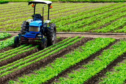 João Eustáquio De Almeida Junior explica como a rotação de culturas melhora a saúde do solo e impulsiona a produtividade agrícola.
